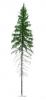 FREON SG1 Mountain Spruce  - Świerk Wysokogórski Większy 26/28 cm 3 sztuki